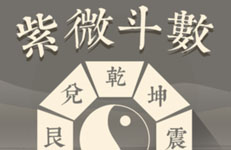 紫微十二宫之命身宫