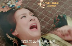 紫微斗数-太阴坐命的人【封神榜人物-黄飞虎之妻贾夫人】